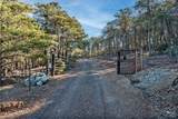 6775 County Road 110 - Photo 49