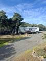 6775 County Road 110 - Photo 6