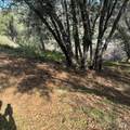 214 Colt Court - Photo 5