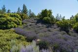 2947 Cavedale Road - Photo 33