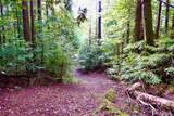 40401 Little River Airport Road - Photo 44
