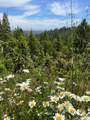 40401 Little River Airport Road - Photo 47