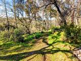 11641 Hwy 128 - Photo 19