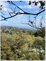 0 Coleman Drive - Photo 8