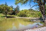5510 Parducci Road - Photo 38