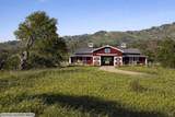 6958 Oak Tree Trail - Photo 15