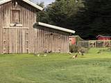 43700 Mountain View Road - Photo 37
