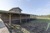 43700 Mountain View Road - Photo 44