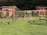 43700 Mountain View Road - Photo 47