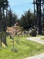 43700 Mountain View Road - Photo 81