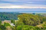 43500 Crispin Road - Photo 67