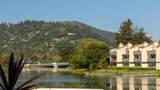 623 Larkspur Plaza Drive - Photo 49