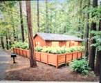 16125 Bittner Road - Photo 7