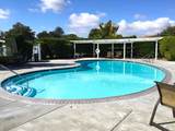 229 Cazares Circle - Photo 44