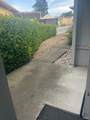 33 Chestnut Court - Photo 4