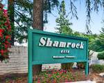 10 Shamrock Circle - Photo 33