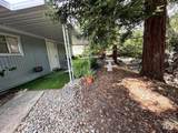 31 Springhill Court - Photo 6