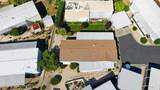 70 Lemon Tree Circle - Photo 43
