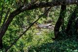 264 Los Alamos Road - Photo 18