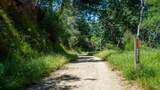 10 Fire Road - Photo 31