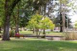 121 Macarthur Street - Photo 37