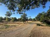 21000 County Road 95 - Photo 36