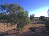 21000 County Road 95 - Photo 37