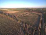 21000 County Road 95 - Photo 68