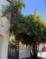 17 Romine Way - Photo 16