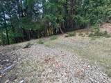 26940 Bear Drive - Photo 3