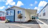 37 Catalpa Drive - Photo 2
