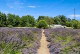 4550 Soda Bay Road - Photo 51