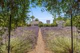 4550 Soda Bay Road - Photo 52