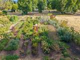 4550 Soda Bay Road - Photo 68
