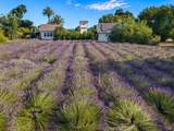 4550 Soda Bay Road - Photo 73