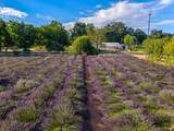 4550 Soda Bay Road - Photo 74