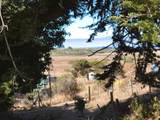 43751 Crispin Road - Photo 39
