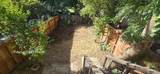 7321 Bodega Avenue - Photo 21