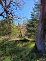 0 Muir Mill Road - Photo 13
