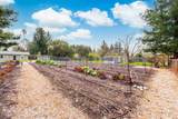 1111 Olive Hill Lane - Photo 64