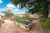 1111 Olive Hill Lane - Photo 68