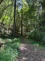 8781 Martinelli Road - Photo 45