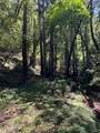8781 Martinelli Road - Photo 46