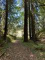 8781 Martinelli Road - Photo 47