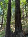8781 Martinelli Road - Photo 48