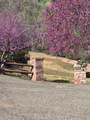 18683 Morgan Valley Road - Photo 30