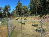 0 Little Dan Creek Road - Photo 9
