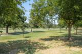 34676 Canvas Back Street - Photo 20