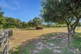 8000 Wild Horse Valley Road - Photo 6