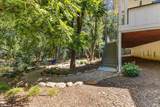 794 Los Olivos Road - Photo 45